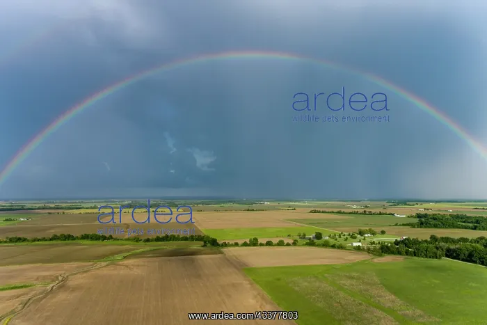: Rainbow after storm, Marion County, Illinois : Rainbow after storm, Marion County, Illinois