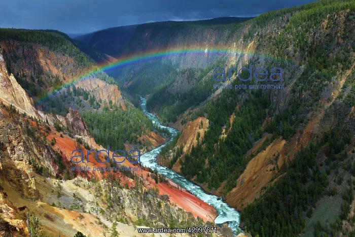 : Rainbow - and thunderstorm over Yellowstone River : Rainbow - and thunderstorm over Yellowstone River