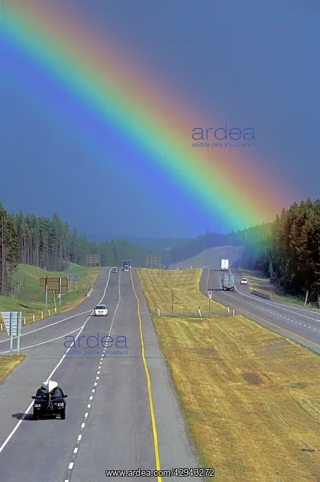  : Rainbow over Transcanada Highway between Banff
