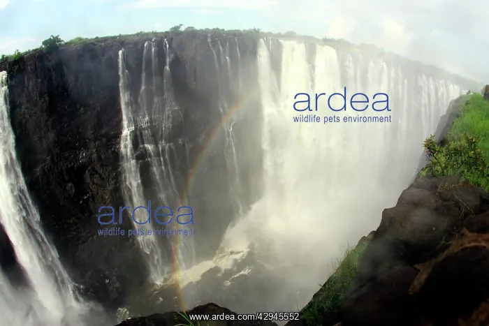 : Rainbow at Victoria Falls : Rainbow at Victoria Falls