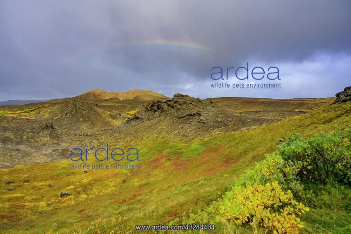 : Rainbow over volcanic landscape and colourful autumn : Rainbow over volcanic landscape and colourful autumn