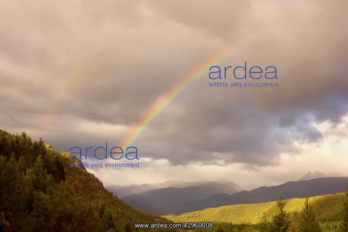 : Rainbows and mountains - double rainbow during : Rainbows and mountains - double rainbow during