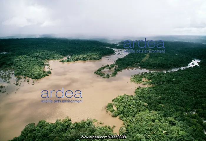 : Rainforest - Aerial White Water River, Amazonia : Rainforest - Aerial White Water River, Amazonia