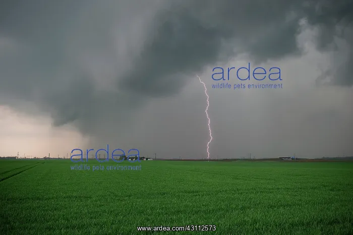 : Very rainy storm April 17, 2015 between the Eure : Very rainy storm April 17, 2015 between the Eure