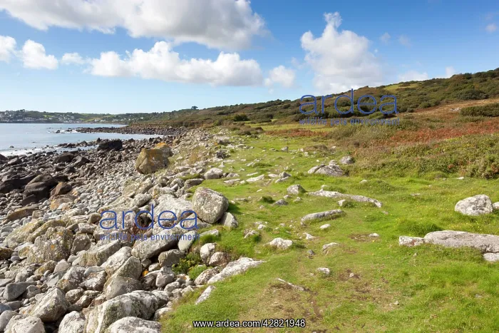 : Raised Beach - Lowland Point - Lizard : Raised Beach - Lowland Point - Lizard
