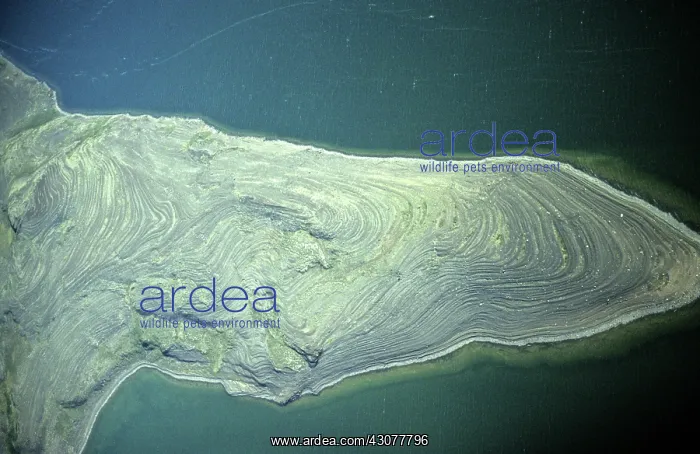 : Raised beaches, Nunavut, Canada : Raised beaches, Nunavut, Canada