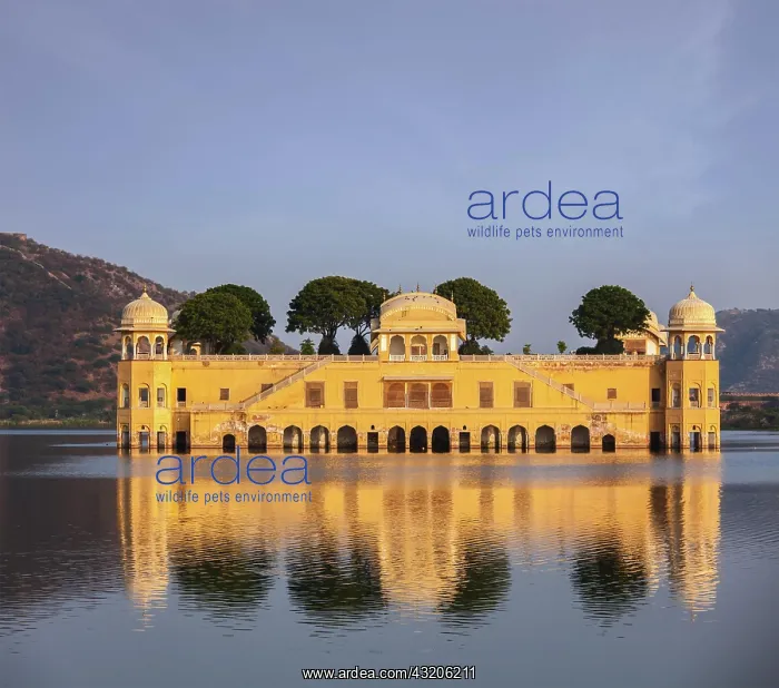 : Rajasthan landmark, Jal Mahal (Water Palace) on : Rajasthan landmark, Jal Mahal (Water Palace) on
