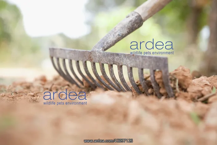 : Rake : Rake