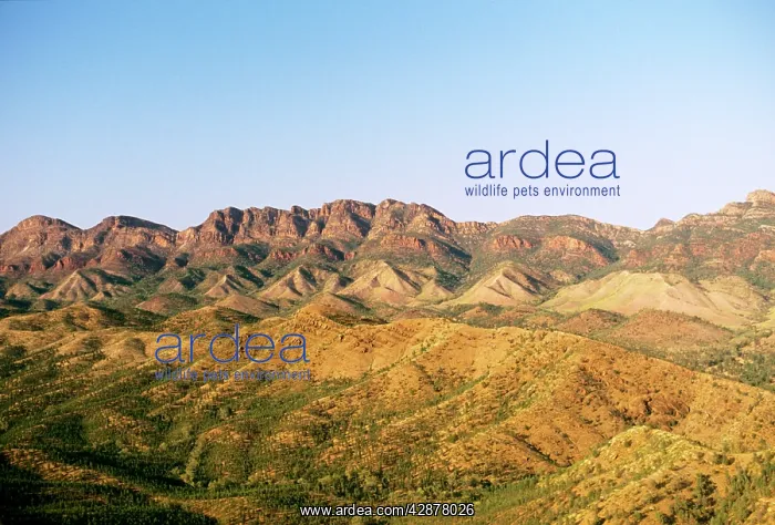 : Range Flinders Ranges National Park : Range Flinders Ranges National Park