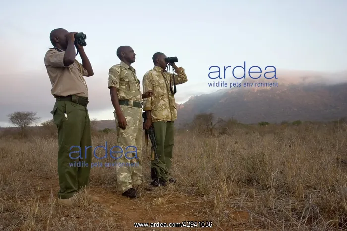 : Rangers at The Ngulia Black Rhino Sanctuary : Rangers at The Ngulia Black Rhino Sanctuary