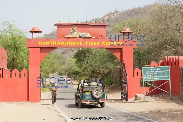 : Ranthambore National Park entrance : Ranthambore National Park entrance