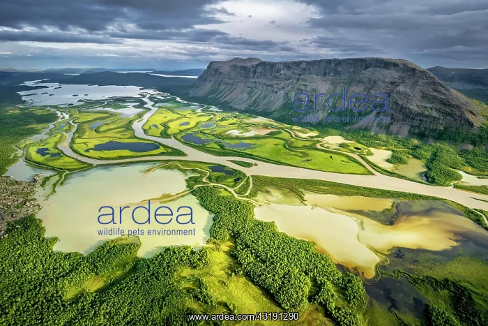 : Rapadalen River Delta, Rapa Valley, Rapaclv River : Rapadalen River Delta, Rapa Valley, Rapaclv River