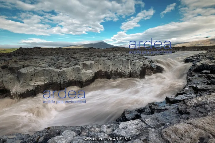 : Rapids and basalt rocks, Geit River, near Hsafell : Rapids and basalt rocks, Geit River, near Hsafell