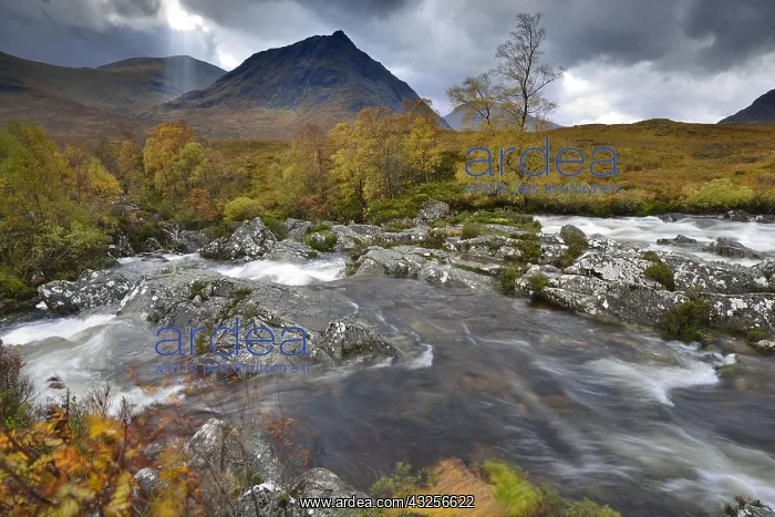 : Rapids at Buachaille Etive Mor in the Western H : Rapids at Buachaille Etive Mor in the Western H