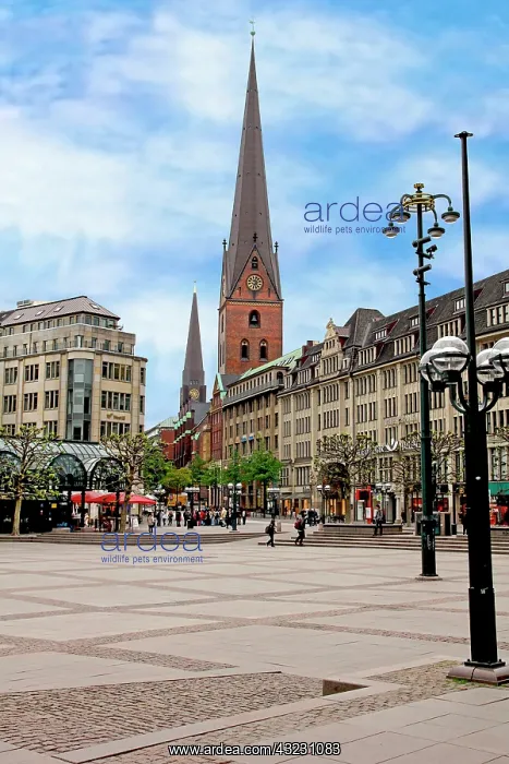 : Rathaus market platz square and St. Petrikirche : Rathaus market platz square and St. Petrikirche