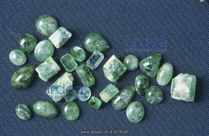 : Raw, cut and polished emeralds : Raw, cut and polished emeralds