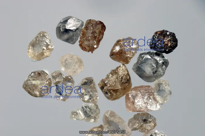 : Raw Diamonds : Raw Diamonds