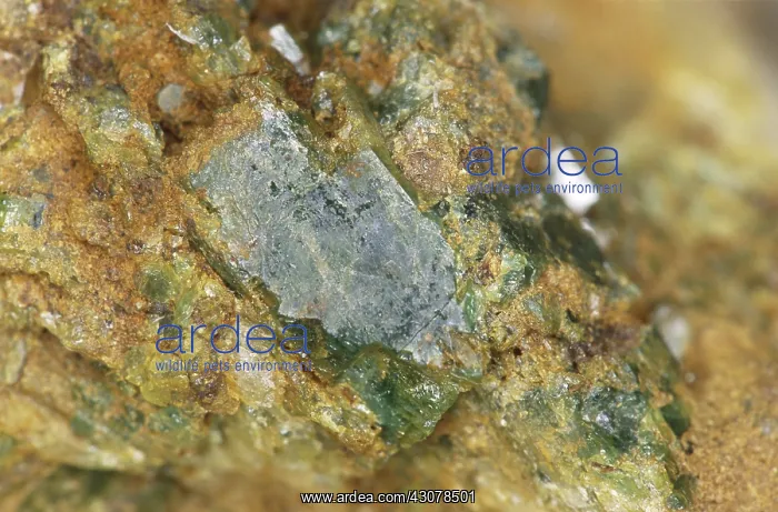 : Raw emeralds in ore : Raw emeralds in ore