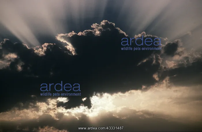 : Rays of Sun behind CLOUD : Rays of Sun behind CLOUD