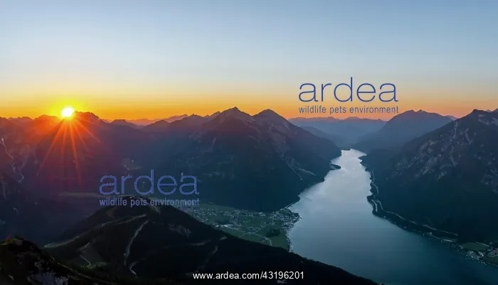 : Last rays of sun over mountain landscape at sunset : Last rays of sun over mountain landscape at sunset