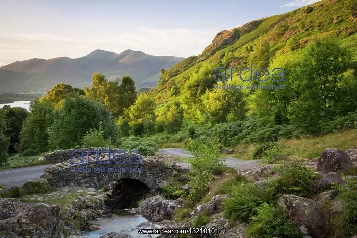 : Last rays of sunlight on the mountains above Derwentwater : Last rays of sunlight on the mountains above Derwentwater