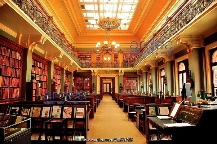 : Reading room in the Library, Victoria and Albert : Reading room in the Library, Victoria and Albert