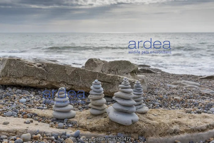  : Realization of cairns on a beach of the Opal Coast