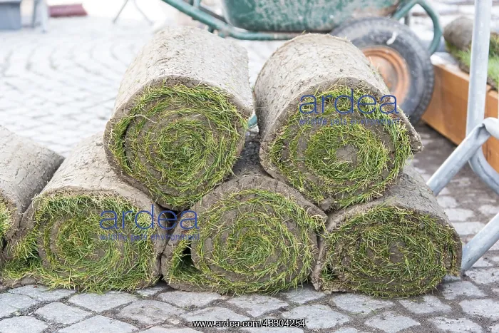 : Realization of a tiling and setting up rolls of : Realization of a tiling and setting up rolls of