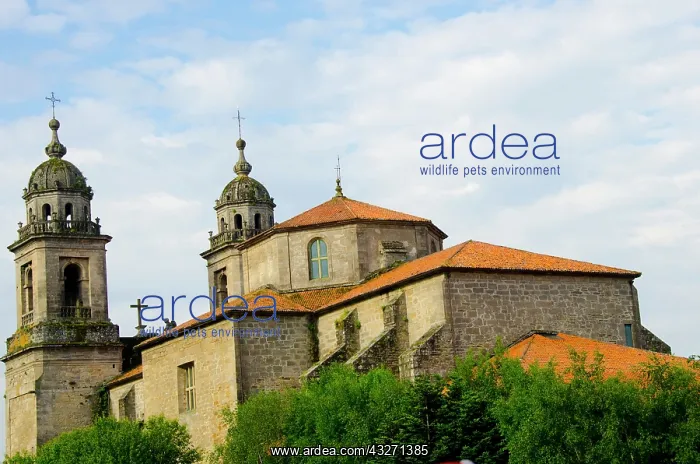 : Rear view of the monastery San Francisco : Rear view of the monastery San Francisco