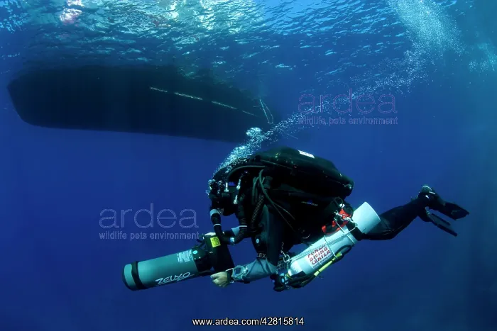  : Rebreather diver, Andrea Donati, Ponza Diving Center, with s