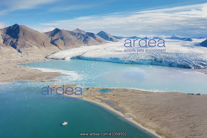 : Recherchebreen aerial : Recherchebreen aerial