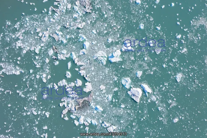: Recherchebreen aerial : Recherchebreen aerial