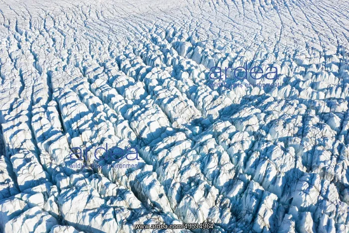 : Recherchebreen aerial : Recherchebreen aerial