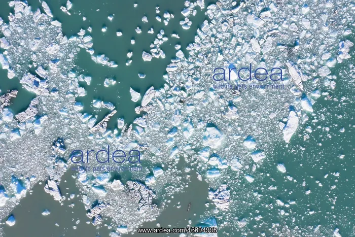 : Recherchebreen aerial : Recherchebreen aerial