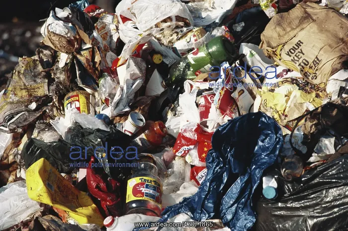 : Recycled Items in Trash : Recycled Items in Trash