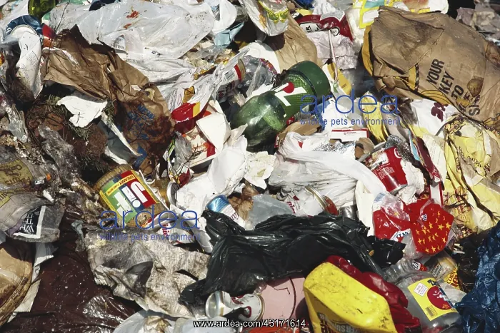 : Recycled Items in Trash : Recycled Items in Trash