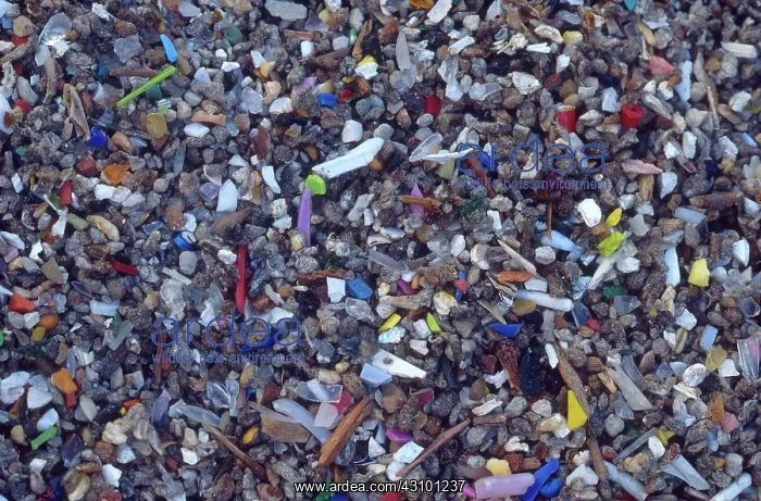 : Recycled Solid Waste : Recycled Solid Waste