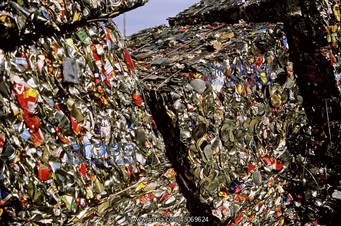 : Recycling beverage cans : Recycling beverage cans