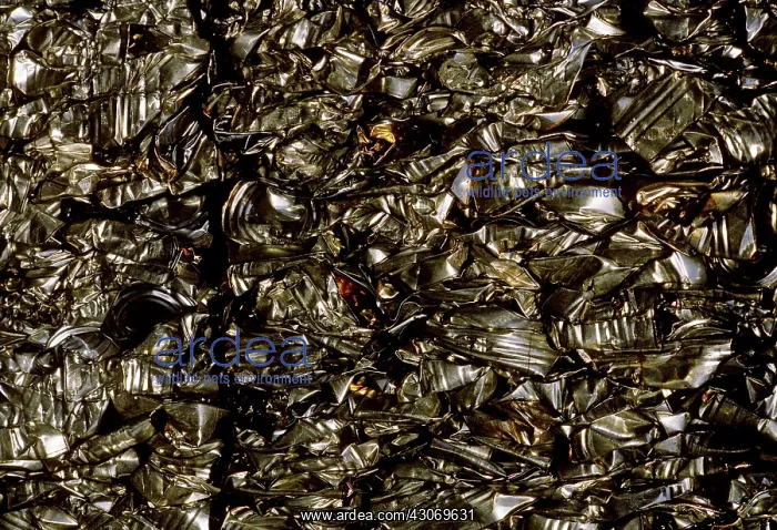 : Recycling beverage cans : Recycling beverage cans