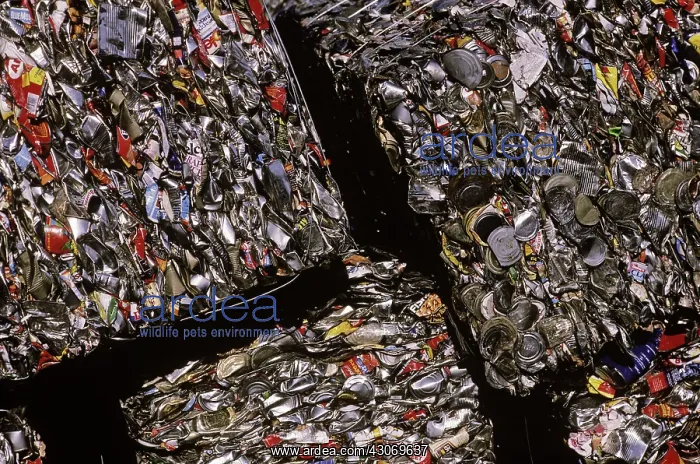 : Recycling beverage cans : Recycling beverage cans