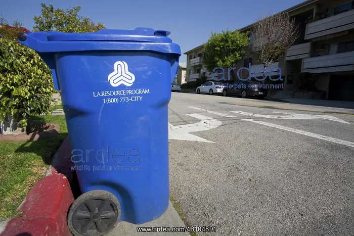 : Recycling Bin : Recycling Bin