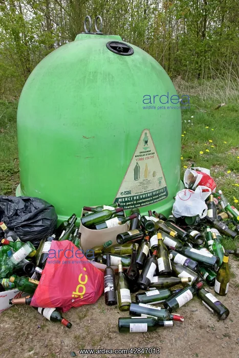  : Recycling Bin - with dumped glass bottles