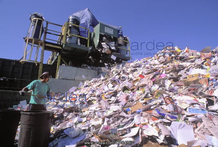: Recycling Center, Santa Monica, CA : Recycling Center, Santa Monica, CA