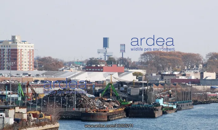 : Recycling Facility on Newtown Creek, NYC : Recycling Facility on Newtown Creek, NYC