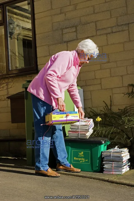 : Recycling - pensioner taking neatly tied bundles : Recycling - pensioner taking neatly tied bundles
