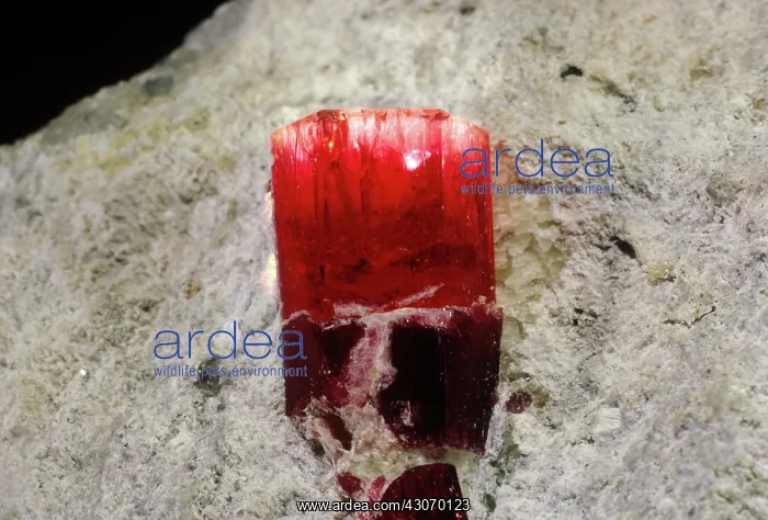 : Red beryl from Utah : Red beryl from Utah