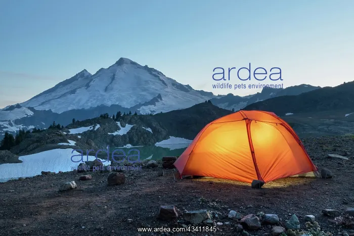  : Red Big Agnes backpacking tent illuminated at twilight