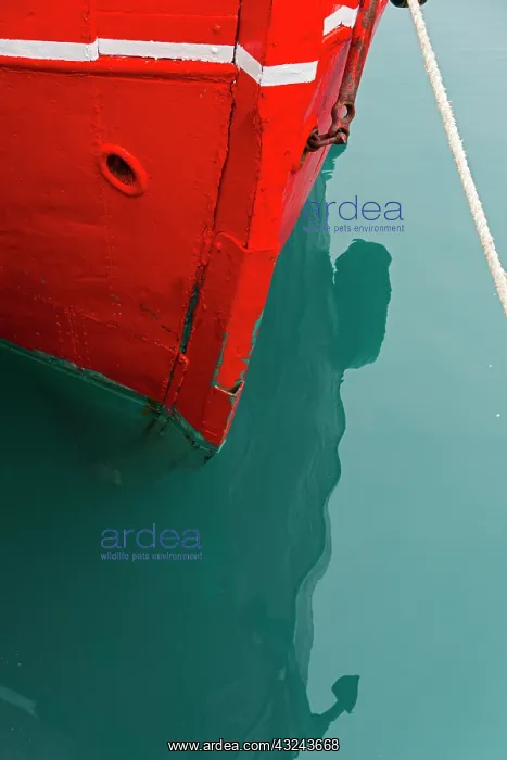 : Red boat on the ocean, Narsarsuaq, Greenland : Red boat on the ocean, Narsarsuaq, Greenland