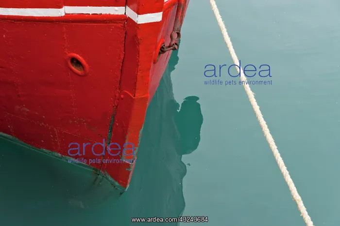 : Red boat on the ocean, Narsarsuaq, Greenland : Red boat on the ocean, Narsarsuaq, Greenland