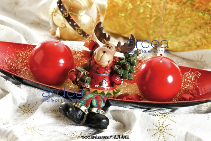 : Red bowl with round candles and moose, reindeer : Red bowl with round candles and moose, reindeer